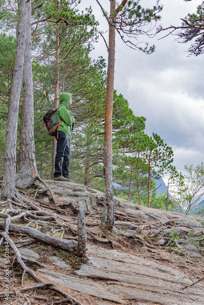 Young hiker woman in a green jacket and black pants standing on the hill looking down the valley on the mountain trail in Norway. Cone forest and picturesque tree roots around