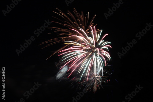 Colorful Fireworks in the Night Sky