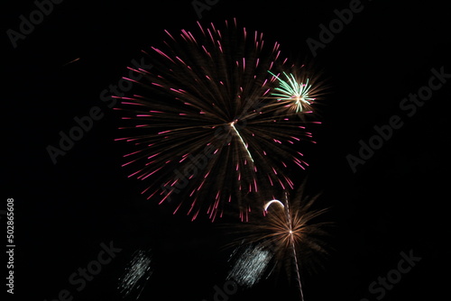 Colorful Fireworks in the Night Sky