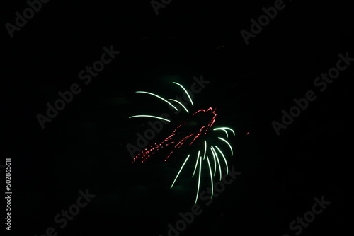 Colorful Fireworks in the Night Sky