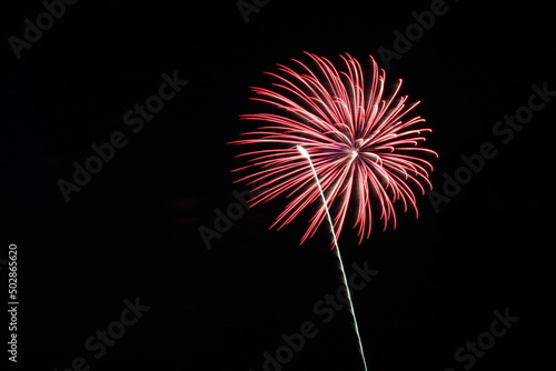 Colorful Fireworks in the Night Sky