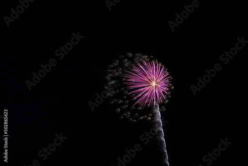Colorful Fireworks in the Night Sky