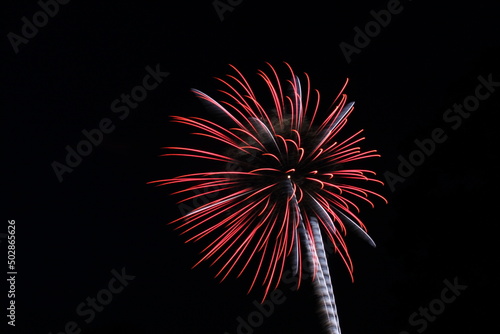Colorful Fireworks in the Night Sky