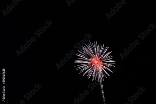 Colorful Fireworks in the Night Sky