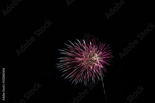 Colorful Fireworks in the Night Sky