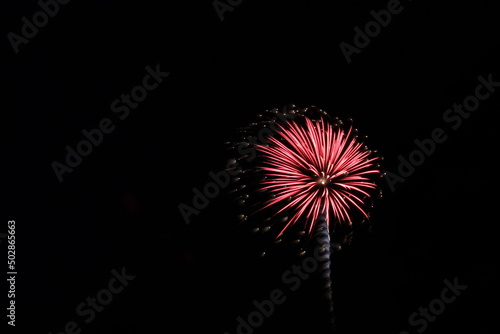 Colorful Fireworks in the Night Sky