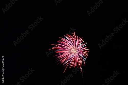 Colorful Fireworks in the Night Sky