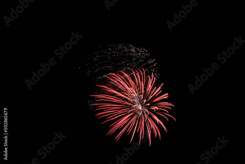 Colorful Fireworks in the Night Sky