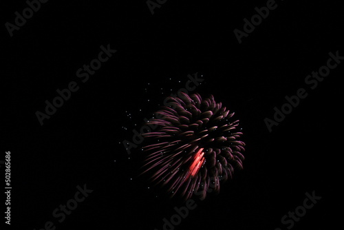 Colorful Fireworks in the Night Sky