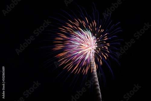 Colorful Fireworks in the Night Sky