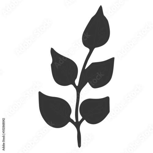 Floral plant, branch in doodle style isolated on white background. Elegant design decoration, element. 