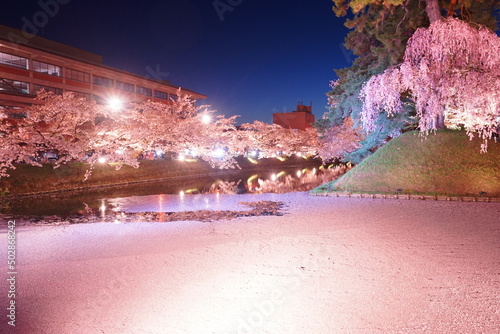 Night View of Pink Sakura or Cherry Blossom Flower Raft and Moat of Hirosaki Castle in Aomori  Japan -                                                       