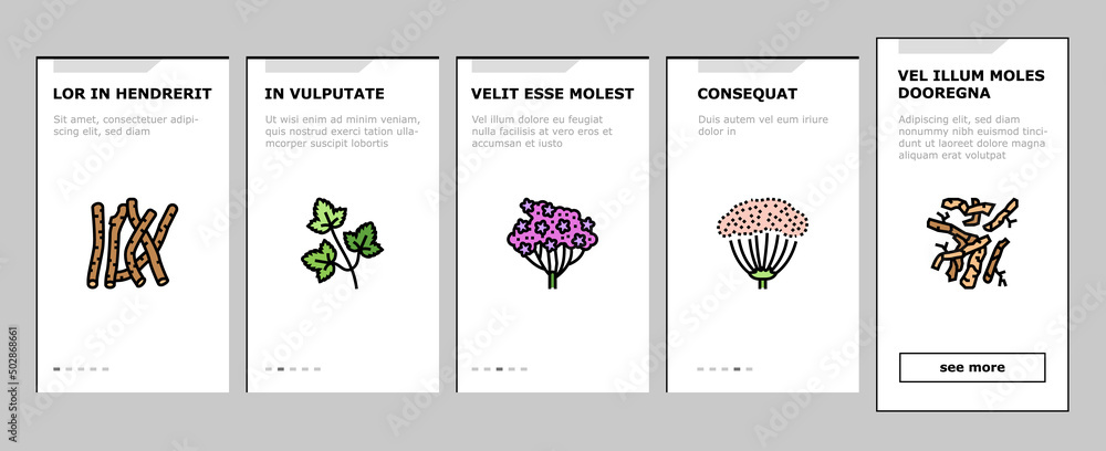 Medical Herb Natural Ingredient Onboarding Mobile App Page Screen Vector. Saffron And Chamomile Flower Bud, Ginseng Coriander Leaves, Oregano Thyme Branch Medical Herb. Anise Basil Plant Illustrations