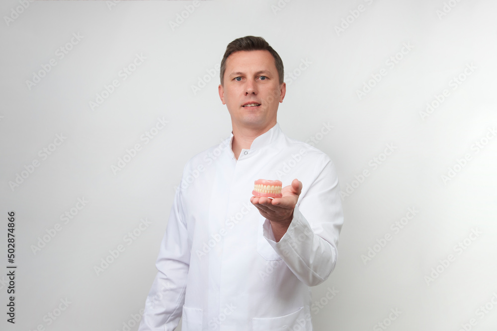 Young dentist holding dental jaw on white background Young dentist holding dental jaw on white background