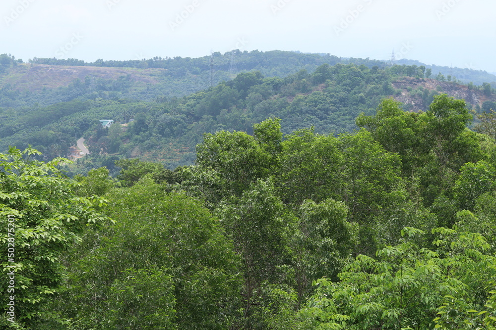 view of the mountains