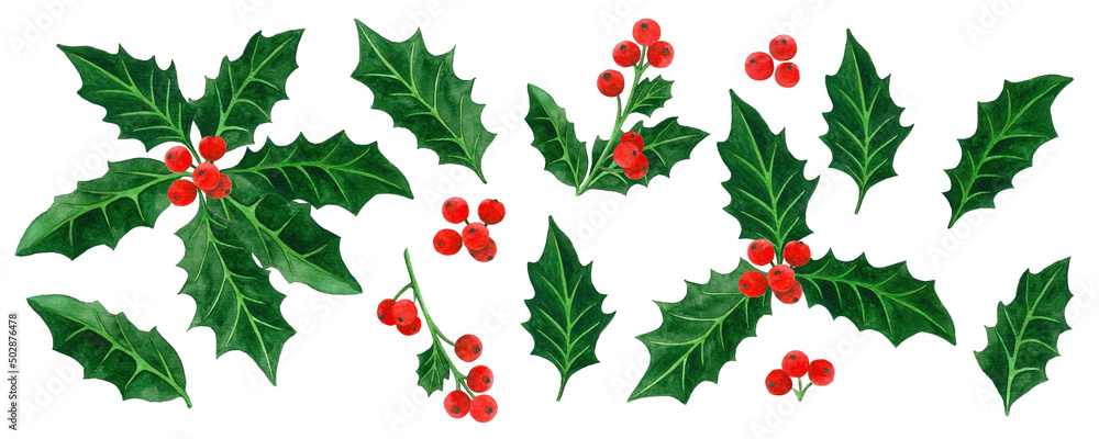 Holly Christmas set isolated, watercolor illustration