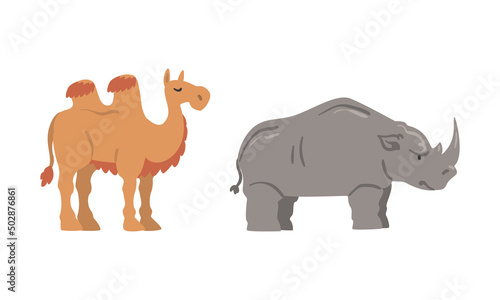 Camel with Hump and Horned Grey Rhinoceros as Wild African Animal Living in Savannah © topvectors