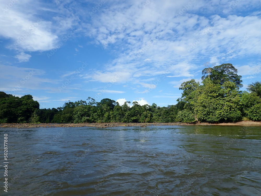 fleuve amazonie Aprouague