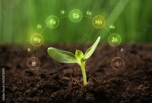 Soil with specified compone...