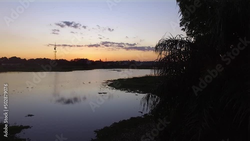 Reflections of clouds and an antenna on the paraguay river at the sunset. Fluttering palm fronds photo