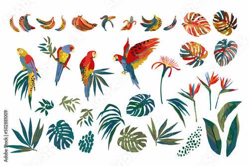 Vector illustrations of parrots, tropical leaves, bananas. Clipart, isolated elements. photo