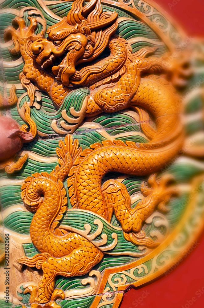 Fototapeta premium dragon pattern