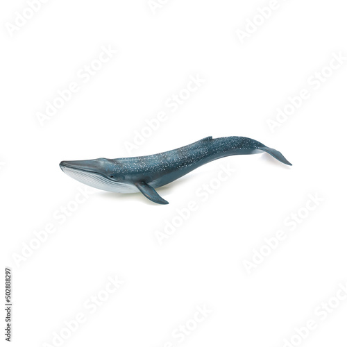 Children's toy sea whale on a white background