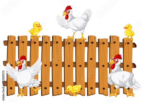Chickens on wooden fence