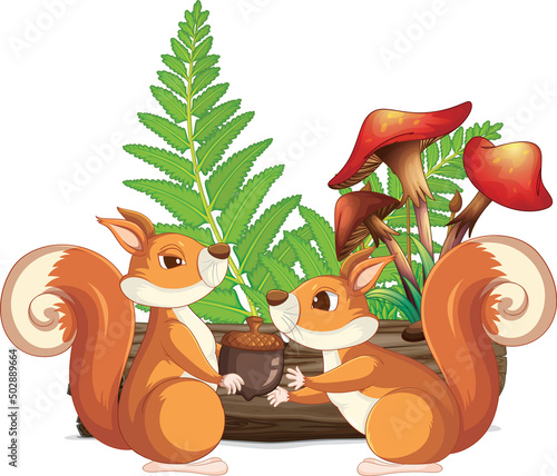 Two squirrels in the garden