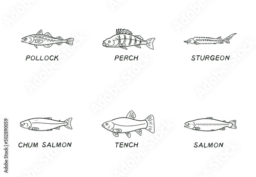 fish doodle isolated vector set