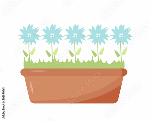 Vector flat image of flowers in long flowerpot. The pot is brown with a light blue flowers. Elements for home, office interior. Design for t-shirts, templates, cards, textiles, backgrounds, banners