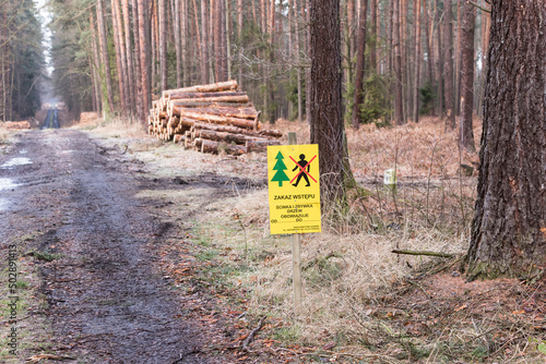 Wycinka leśna wstęp wzbroniony