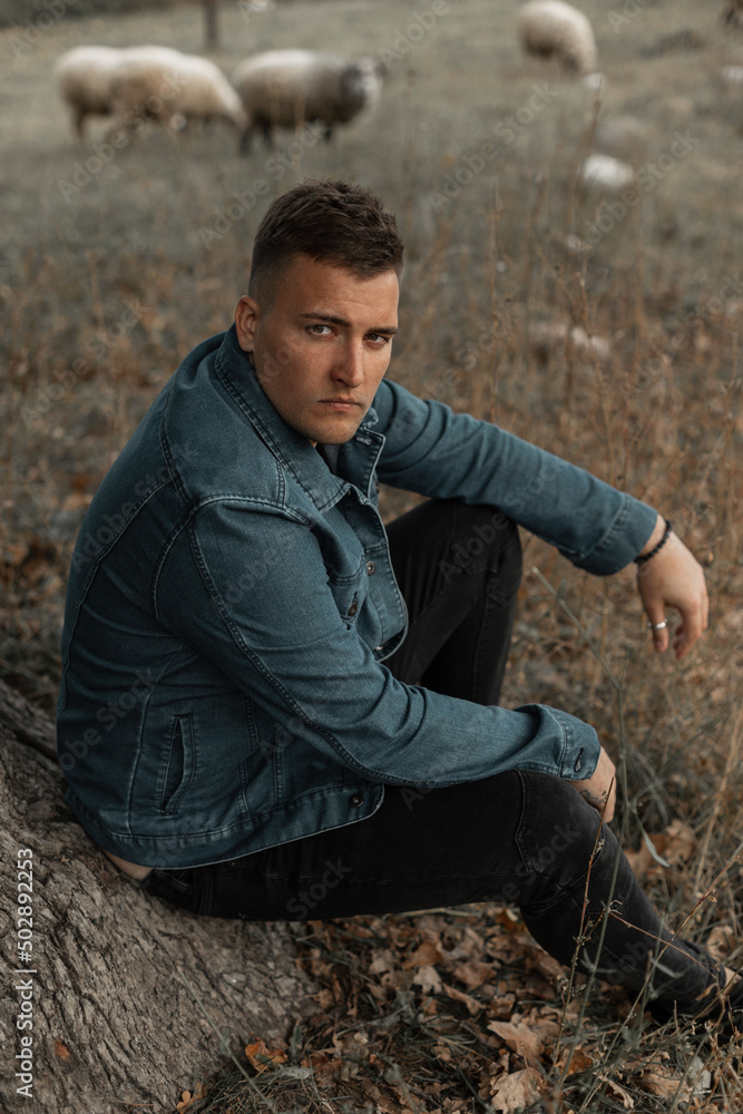 Serious young man in a fancy denim jacket sits on the grass in the countryside with sheep Serious young man in a fancy denim jacket sits on the grass in the countryside with sheep