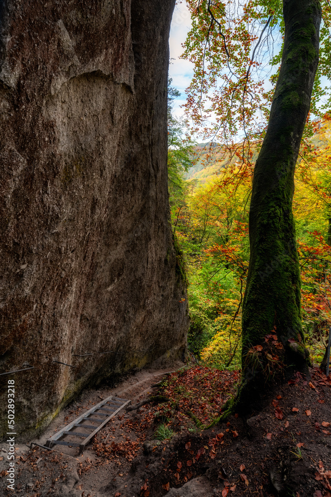 Hiking trail on ladder near rock formation in autumn forest Hiking trail on ladder near rock formation in autumn forest