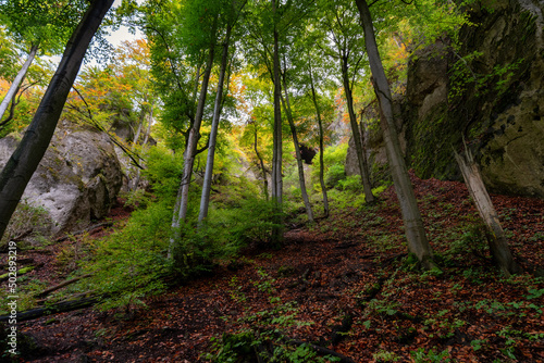 Cave called Dragon hole in Sulov rocks in Slovakia