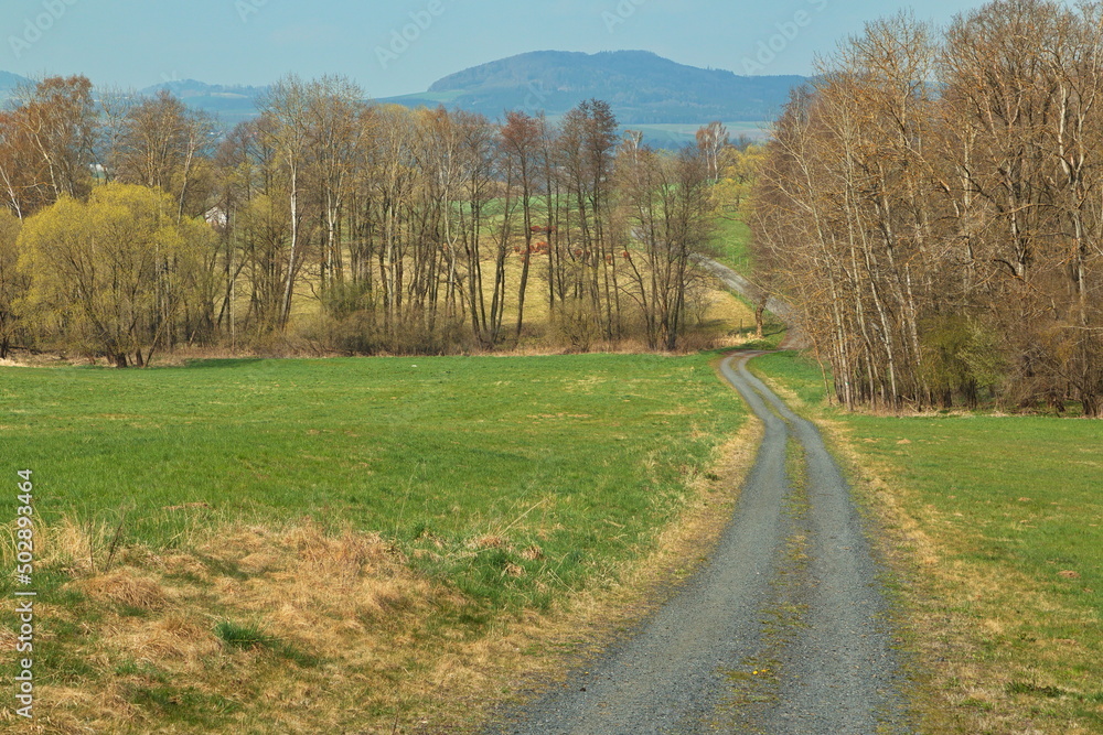 Early spring in Bohemian Forest, Klatovy district, West Bohemia, Czech Republic, Europe, Central Europe
Early spring in Bohemian Forest, Klatovy district, West Bohemia, Czech Republic, Europe, Central Europe