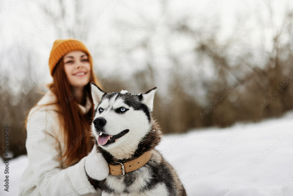 woman with a purebred dog on the snow walk play rest Lifestyle woman with a purebred dog on the snow walk play rest Lifestyle