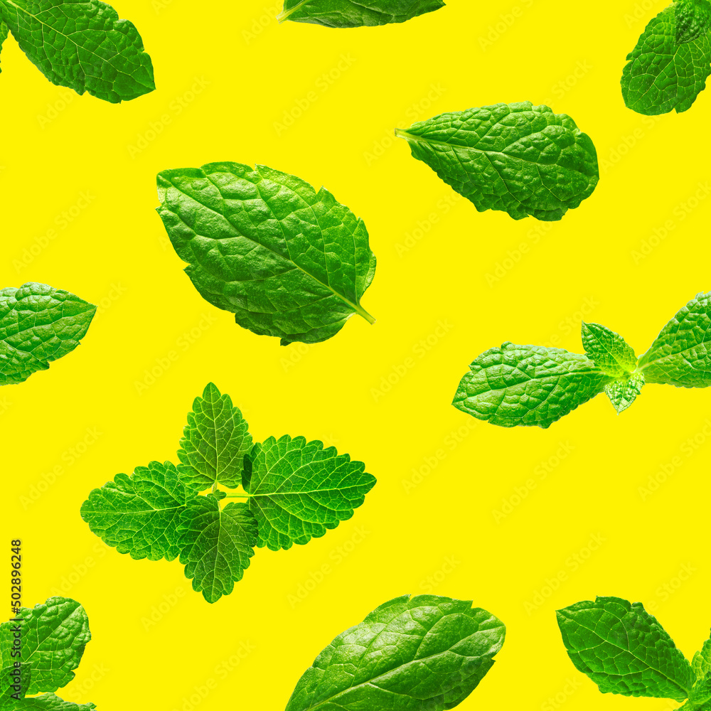 Seamless pattern of fresh mint leaves on yellow background for packaging design. peppermint abstract background. Seamless pattern of fresh mint leaves on yellow background for packaging design. peppermint abstract background.