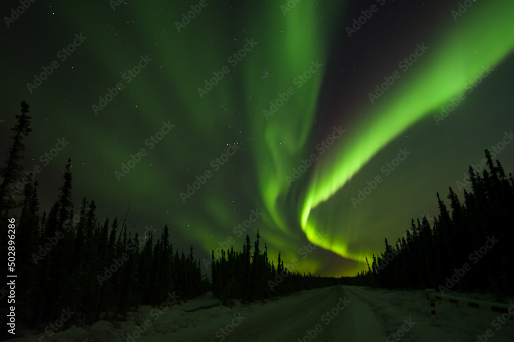 Northern lights silhouette in Alaska. Northern lights silhouette in Alaska.
