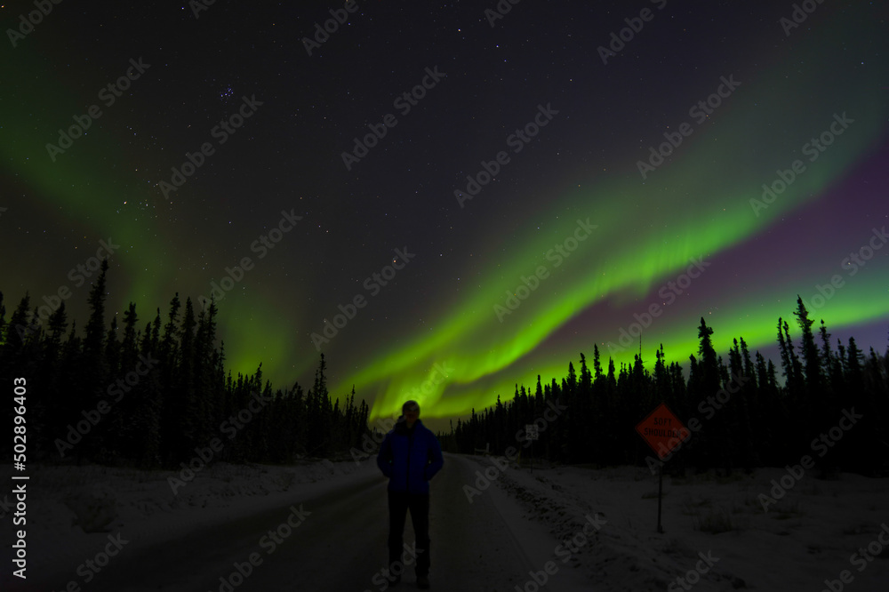 Northern lights silhouette.