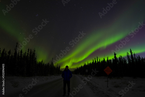 Northern lights silhouette.