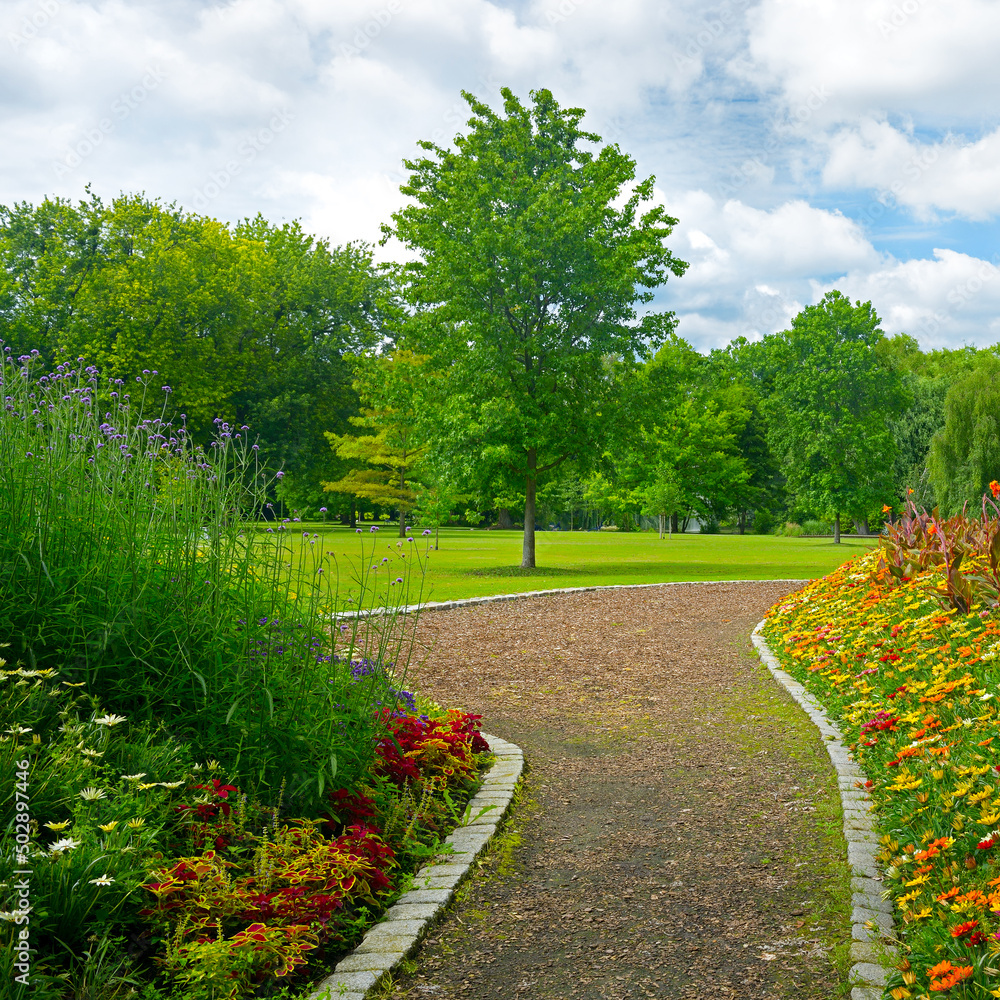 Naklejka premium Beautiful meadow with flowers and path in park.