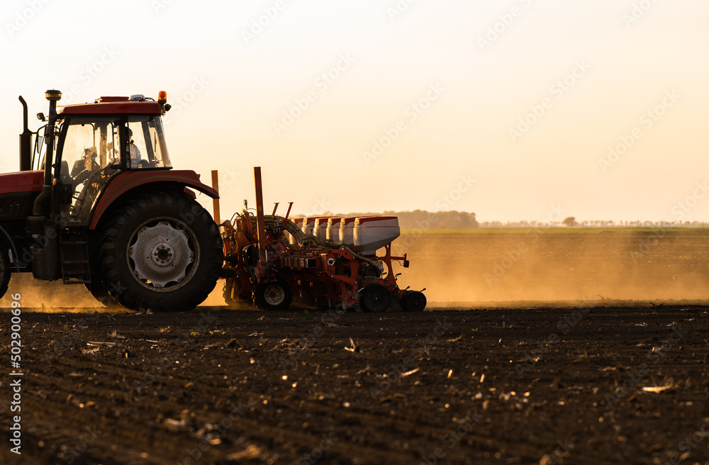 Fototapeta premium Farmer with tractor seeding - sowing crops at agricultural field