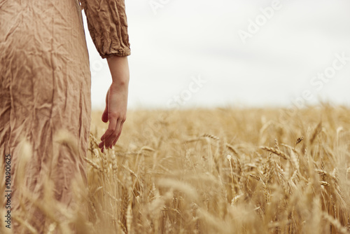 touching golden wheat field Wheat field endless field