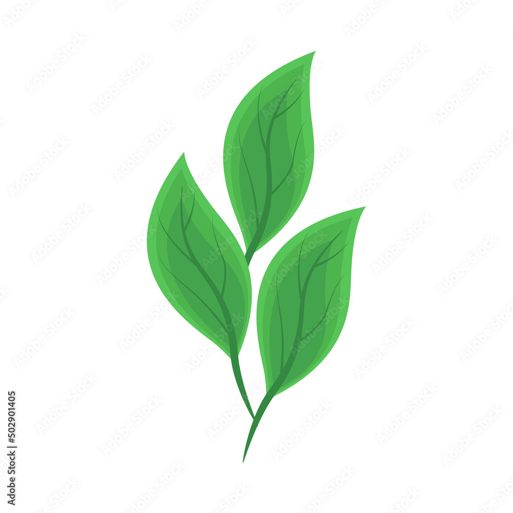 greenery leaves nature greenery leaves nature