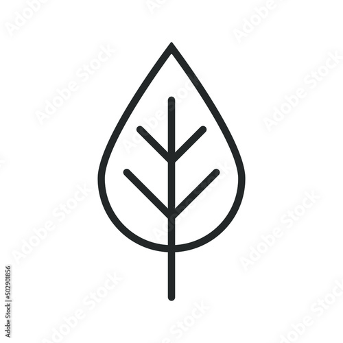 Leaf icon. Nature plant symbol. Tree logo. Vector illustration image.