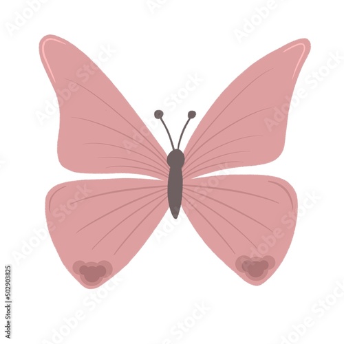 pink butterfly with single lines on the wings and large patterns. simple drawing. color illustration © victorow_alex