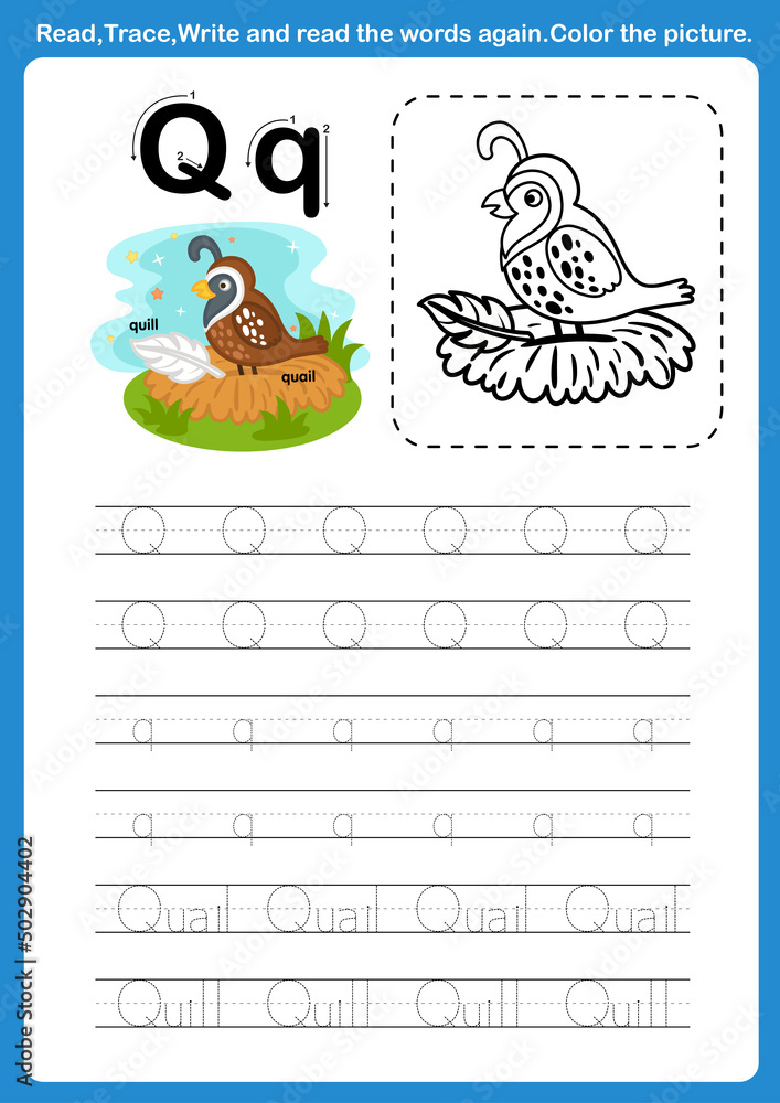Fototapeta premium Alphabet Letter Q with cartoon vocabulary for coloring book illustration, vector