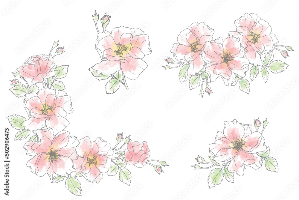 loose watercolor doodle line art rose flower bouquet elements collection loose watercolor doodle line art rose flower bouquet elements collection