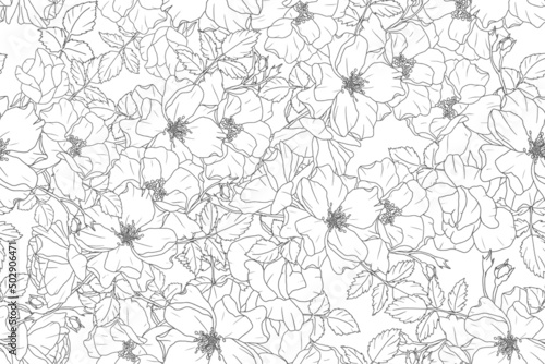 monochrome doodle line art rose flower bouquet repeat seamless pattern